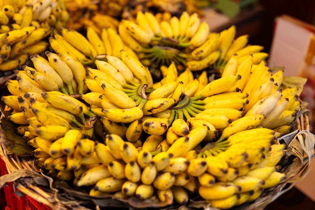 The Ultimate Guide to Staying Healthy While Traveling Image 3