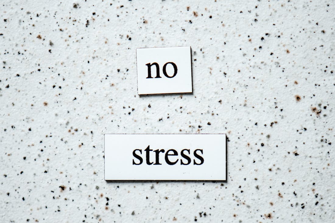 Essential Tips for Maintaining Optimal Health in a Fast-Paced World Image 2