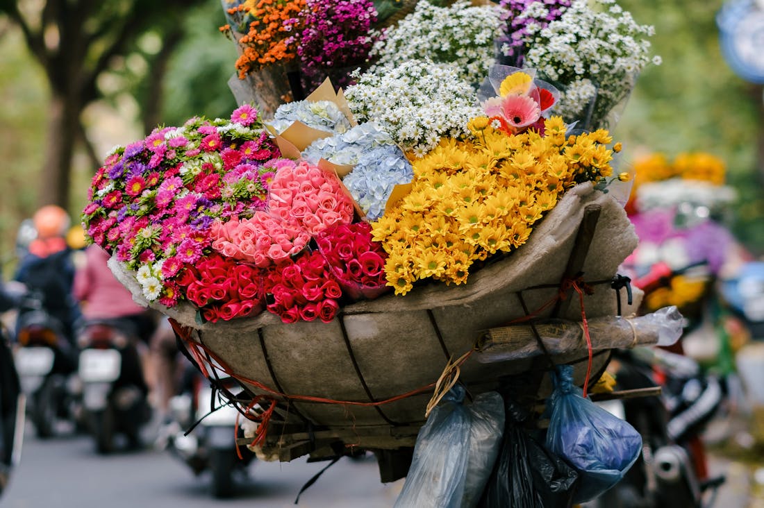 Sustainable Living: Practical Steps for a Greener Lifestyle Image 3