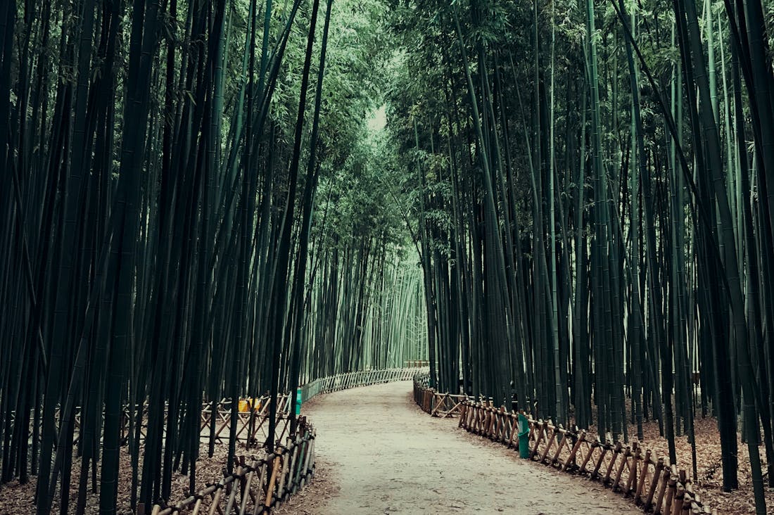 Technological Innovations Revolutionizing Sustainable Travel Practices Image 2