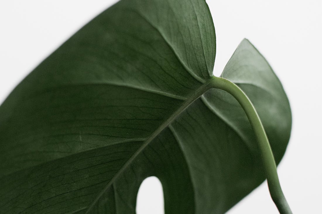 Mastering the Art of Minimalism: Transform Your Lifestyle Through Less Is More Philosophy
