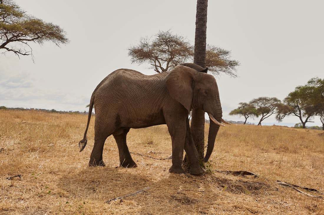 Traveling Sustainably: How to Explore the World While Protecting the Environment Image 3