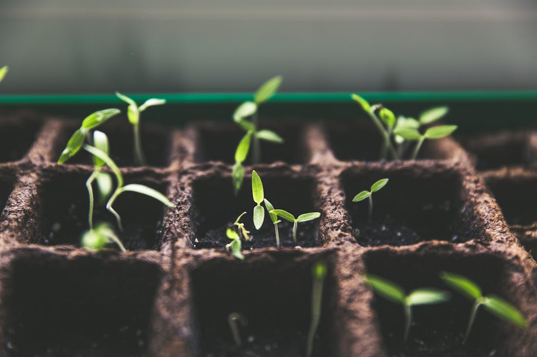 Innovations Shaping the Future of Sustainable Travel