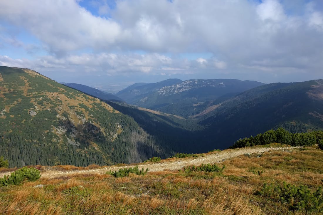 Sustainable Travel Trends: Eco-Friendly Adventures to Consider