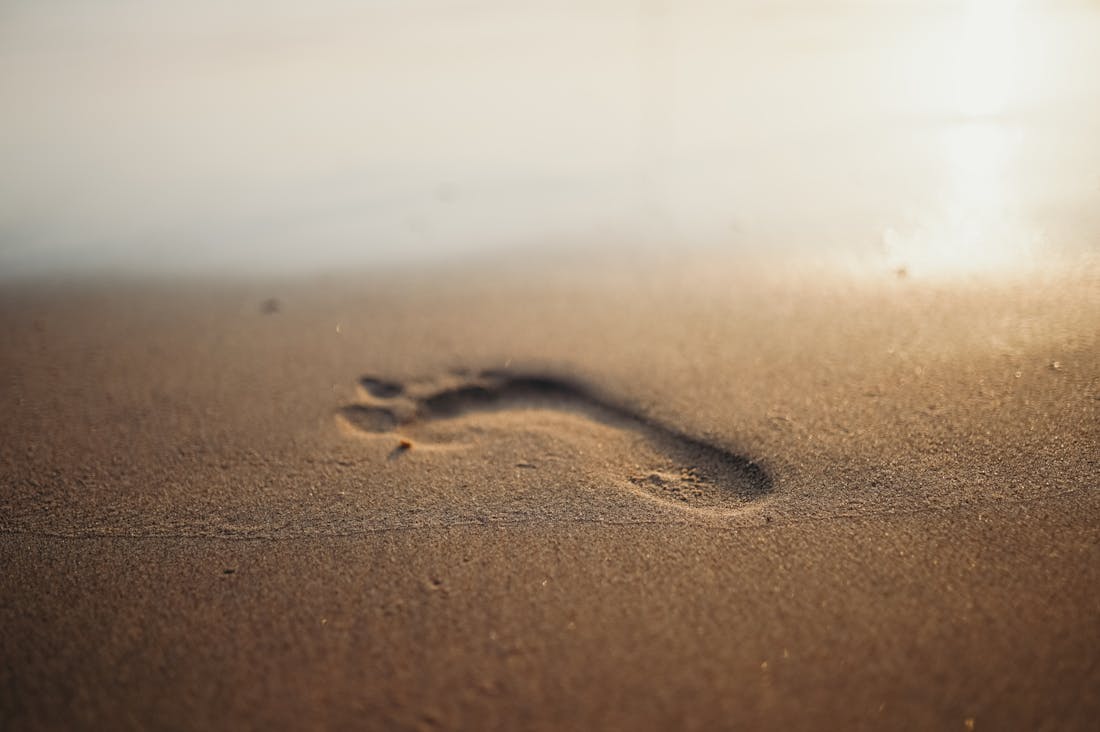 Sustainable Travel Trends: Eco-Friendly Adventures to Consider Image 3