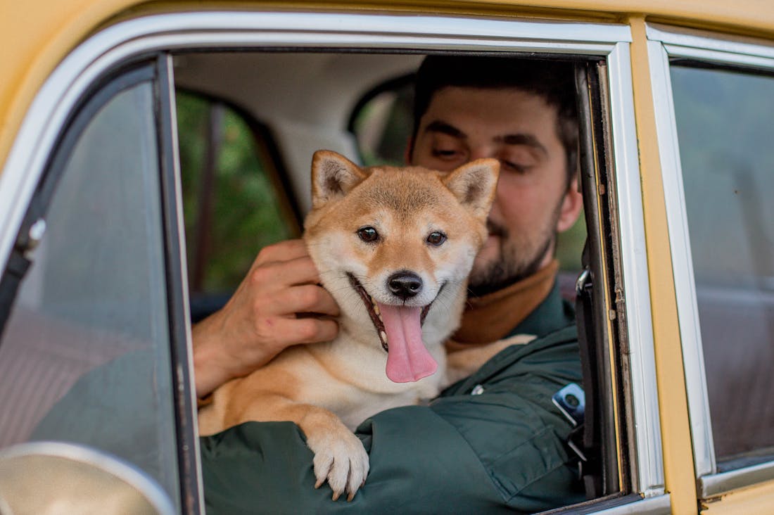 Vehicle Maintenance Essentials: Keep Your Car Running Smoothly Image 2