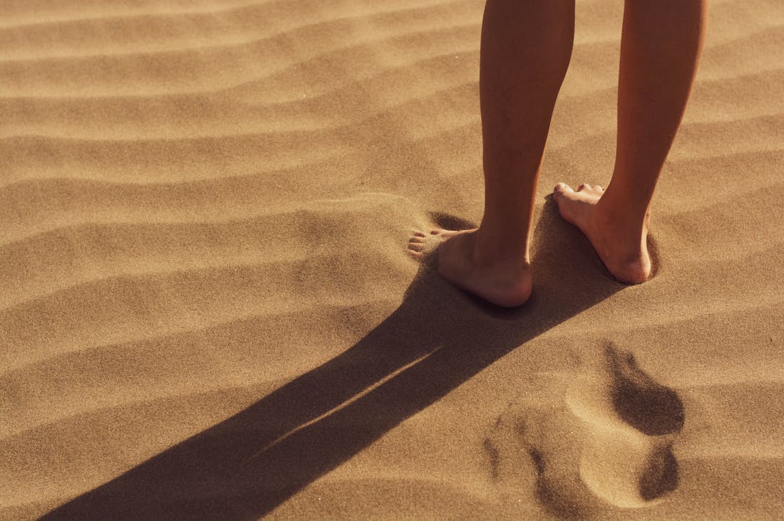 Guiding Principles for Sustainable Travel: Eco-Friendly Adventures Await Image 2