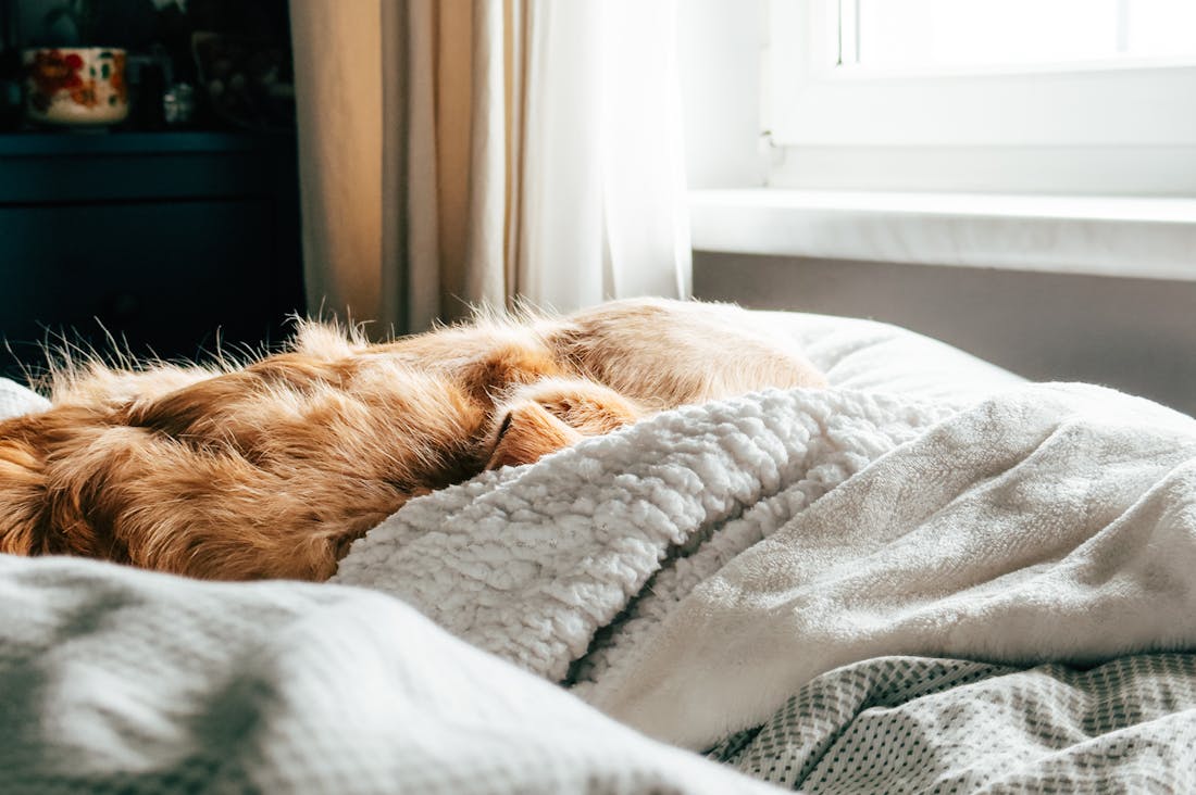 Lifestyle Changes That Promote Better Sleep Quality and Well-Being Image 3