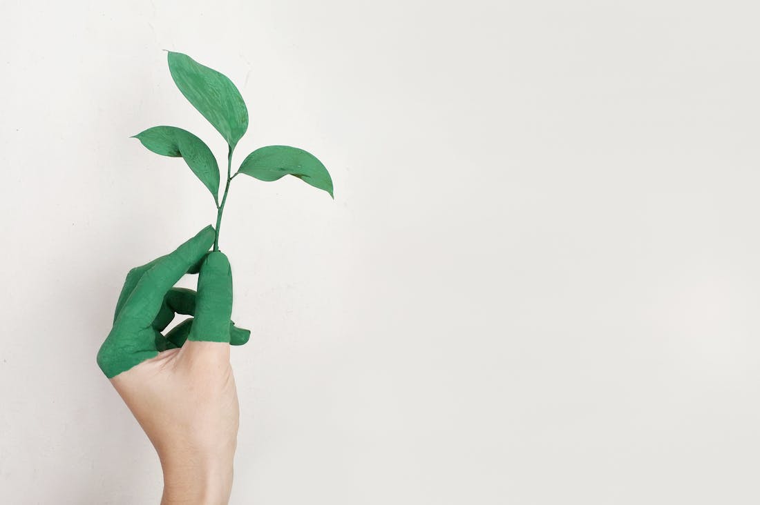 Tips for Streamlining Your Budget Without Sacrificing Quality of Life Image 1