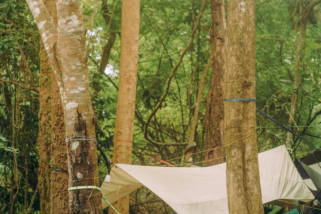 Travel Trends Shaping Adventures for Modern Explorers Image 1