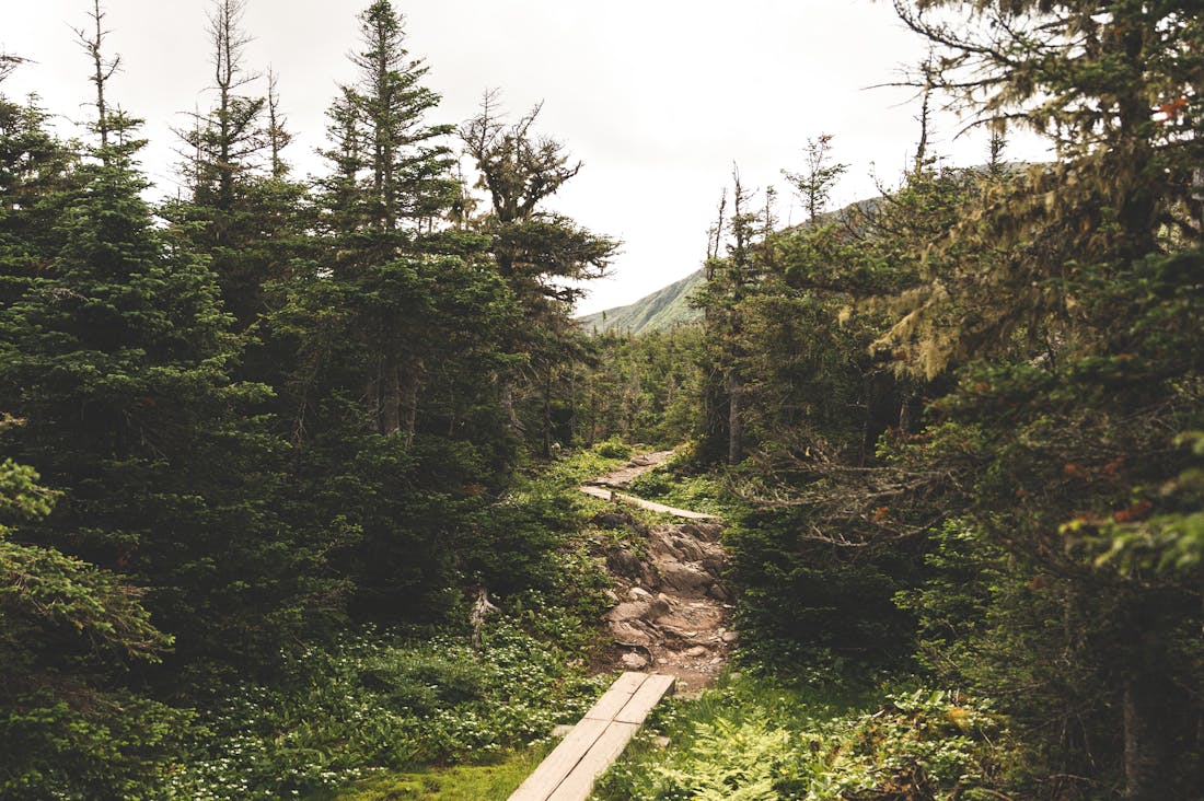 Adventure Travel Destinations for Thrill Seekers Worldwide Image 3