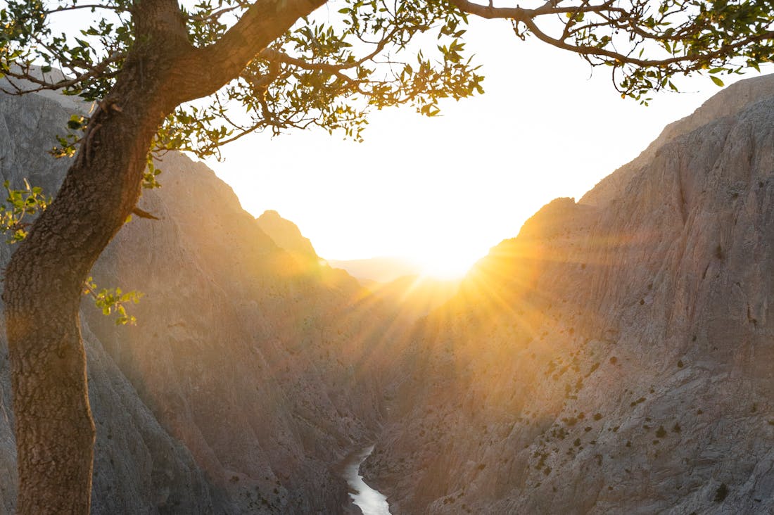 Adventure Travel Ideas for Thrill-Seekers and Nature Lovers