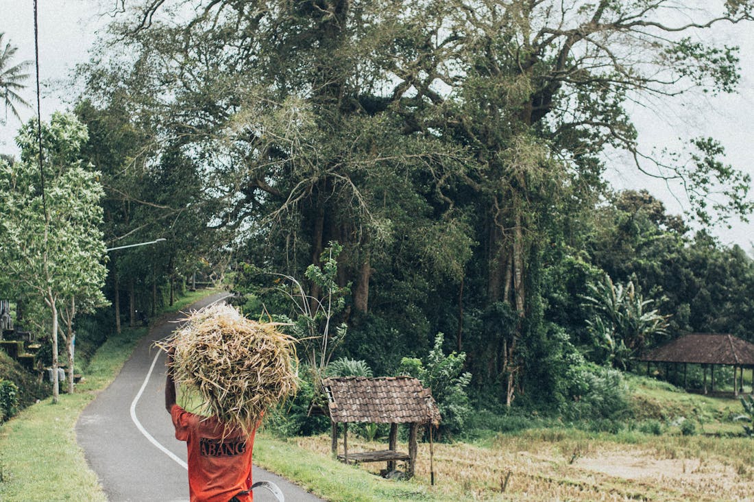 Adventures Await: Unique Travel Destinations Beyond the Tourist Trail Image 3