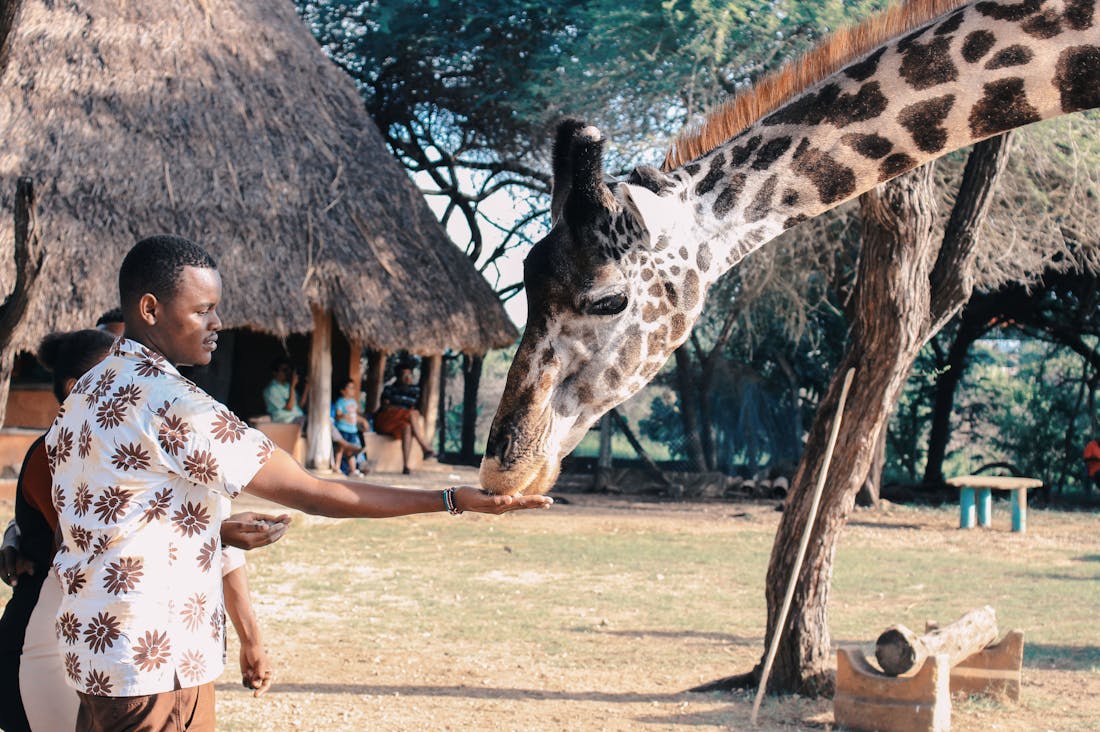 Adventurous Travel Destinations for Thrill-Seekers and Nature Lovers Image 2
