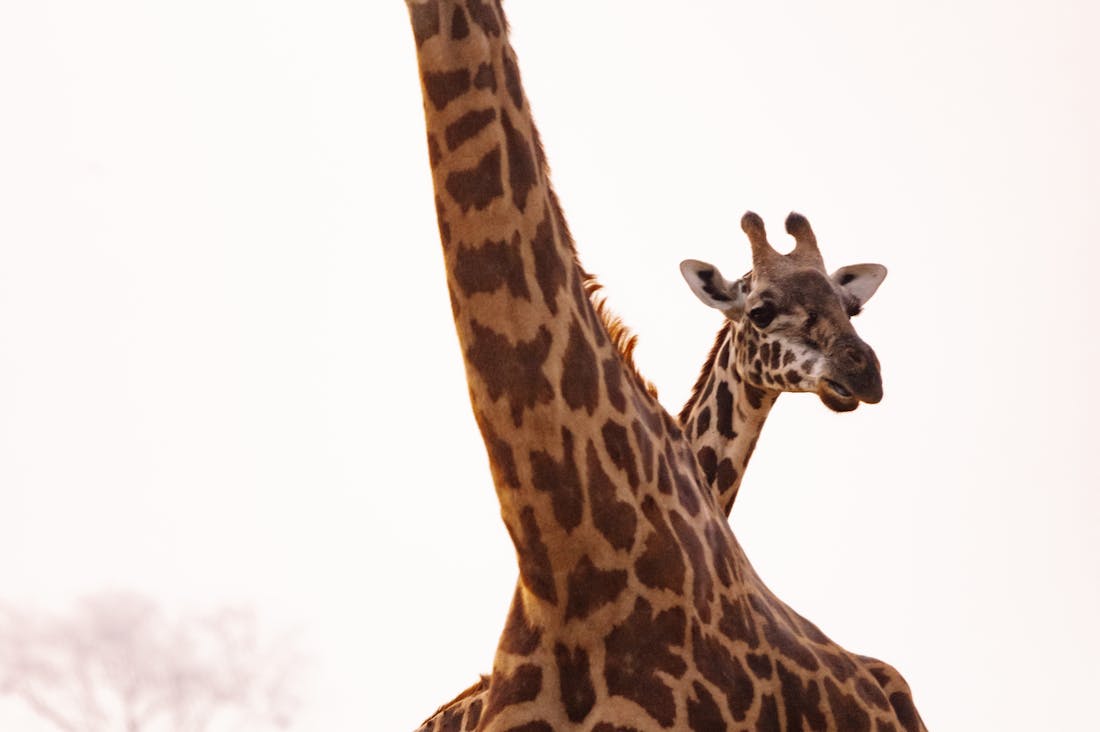 Adventurous Travel Ideas Beyond Traditional Destinations Image 1