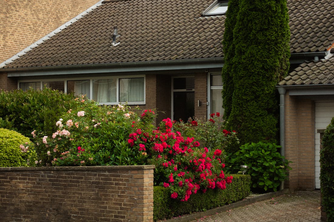 Advice for Building Wealth Through Smart Investment Strategies Image 3