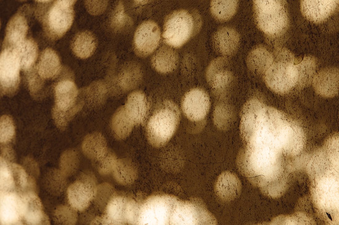 Artful Living: Creating Spaces That Inspire Wellbeing Image 2