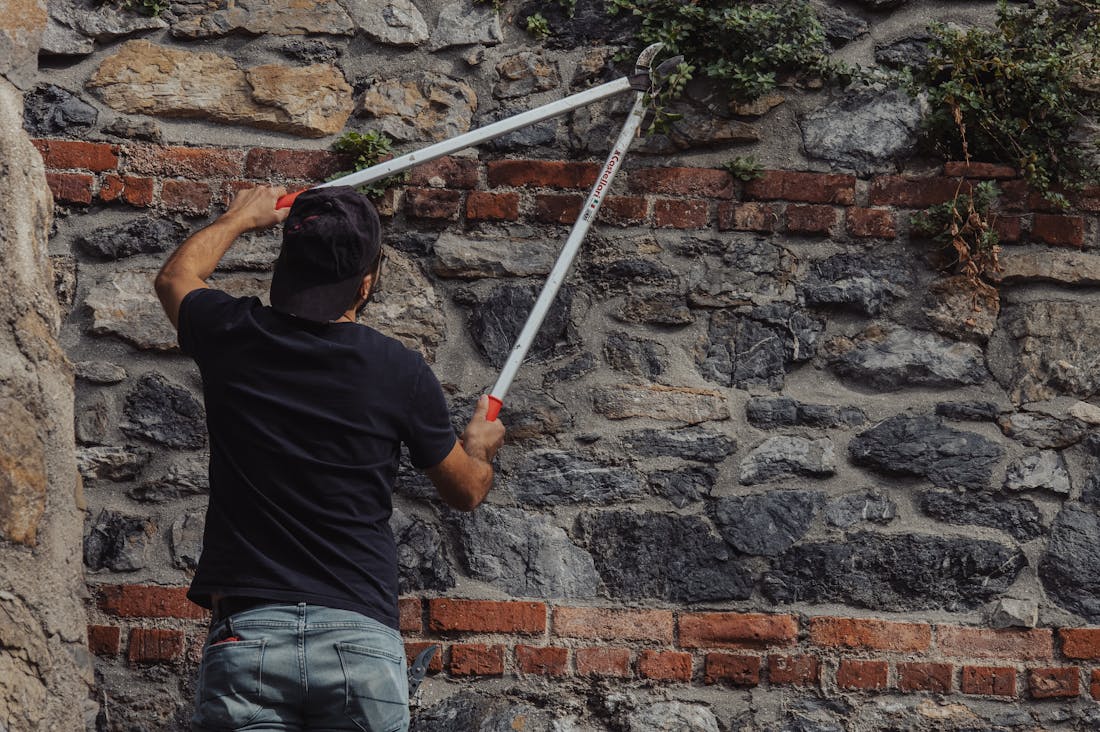 Auto Maintenance Essentials: Keeping Your Car in Peak Condition Image 2