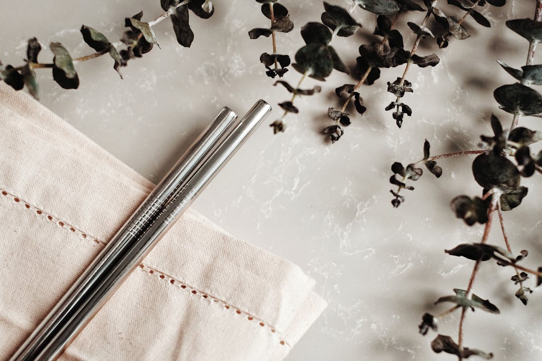 Balancing Sustainability and Modern Living: How to Make Eco-Conscious Choices in a Busy World