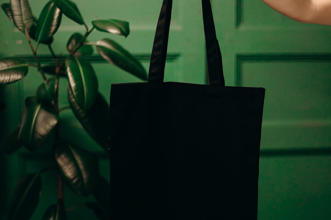 Balancing Sustainability and Modern Living: How to Make Eco-Conscious Choices in a Busy World Image 3