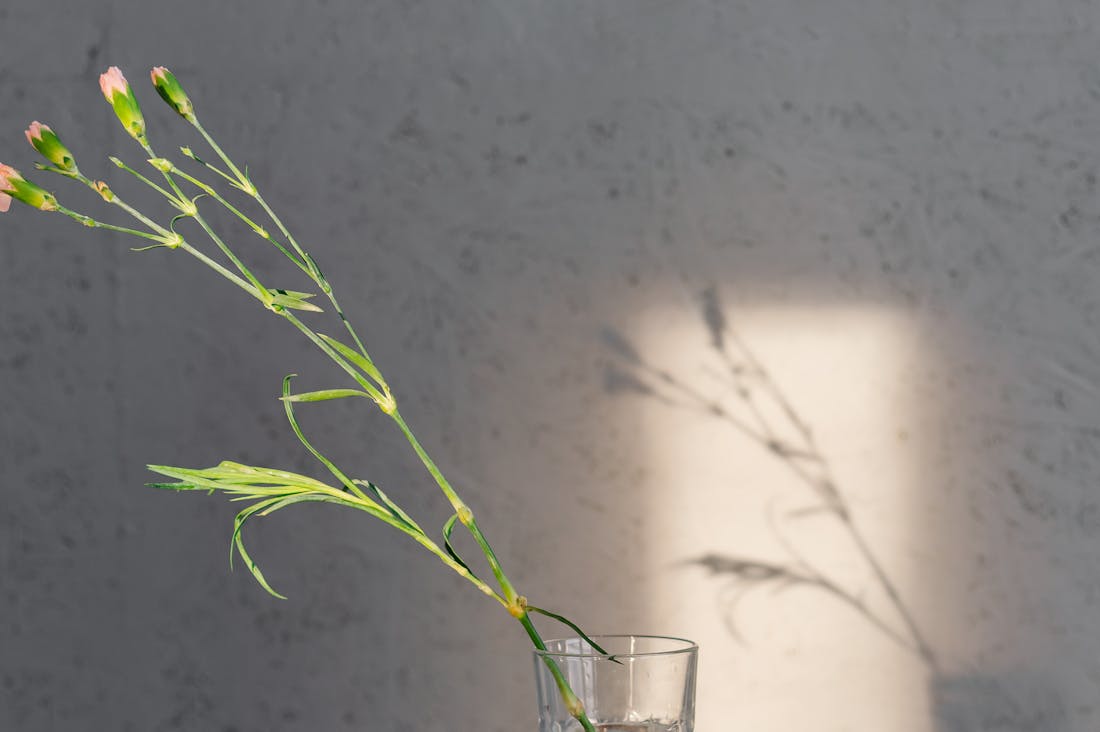 Balancing Technology and Nature: Strategies for Cultivating Mindfulness in a Digital World Image 2