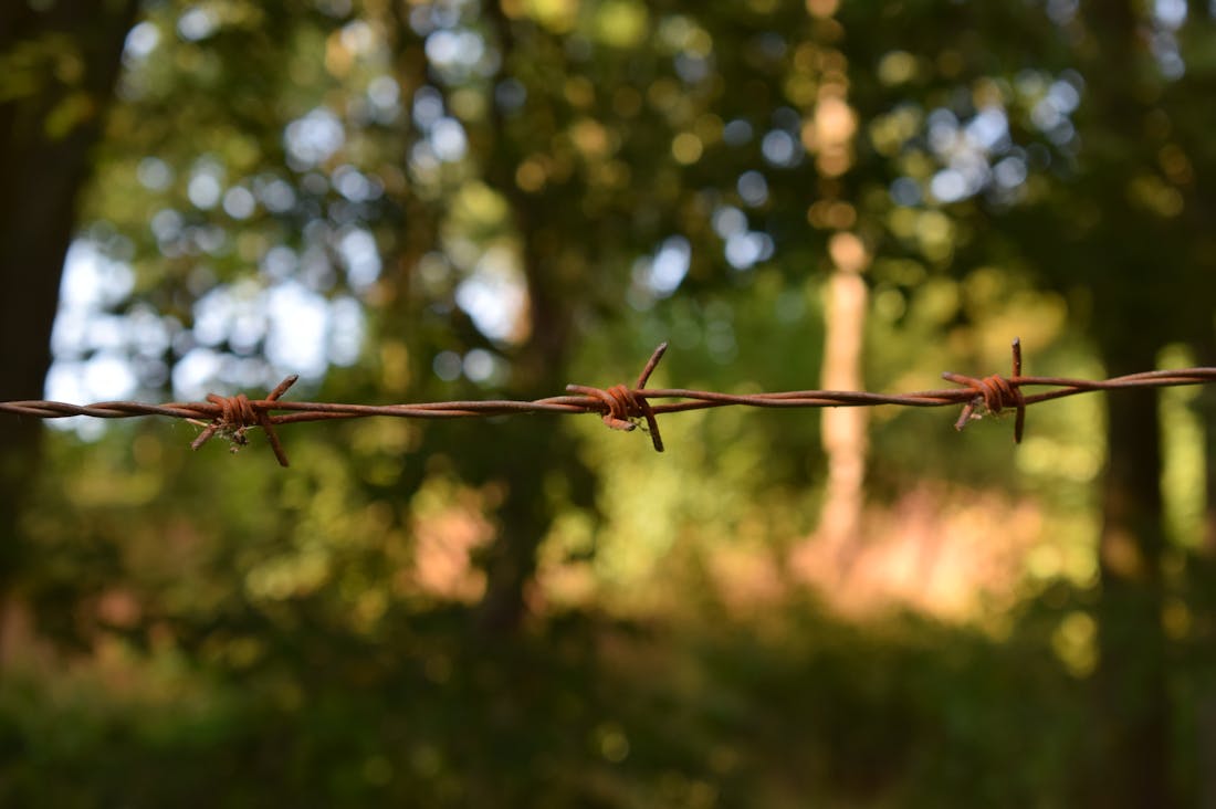 Balancing Wellness and Work-Life: Tips for a Healthier You Image 2