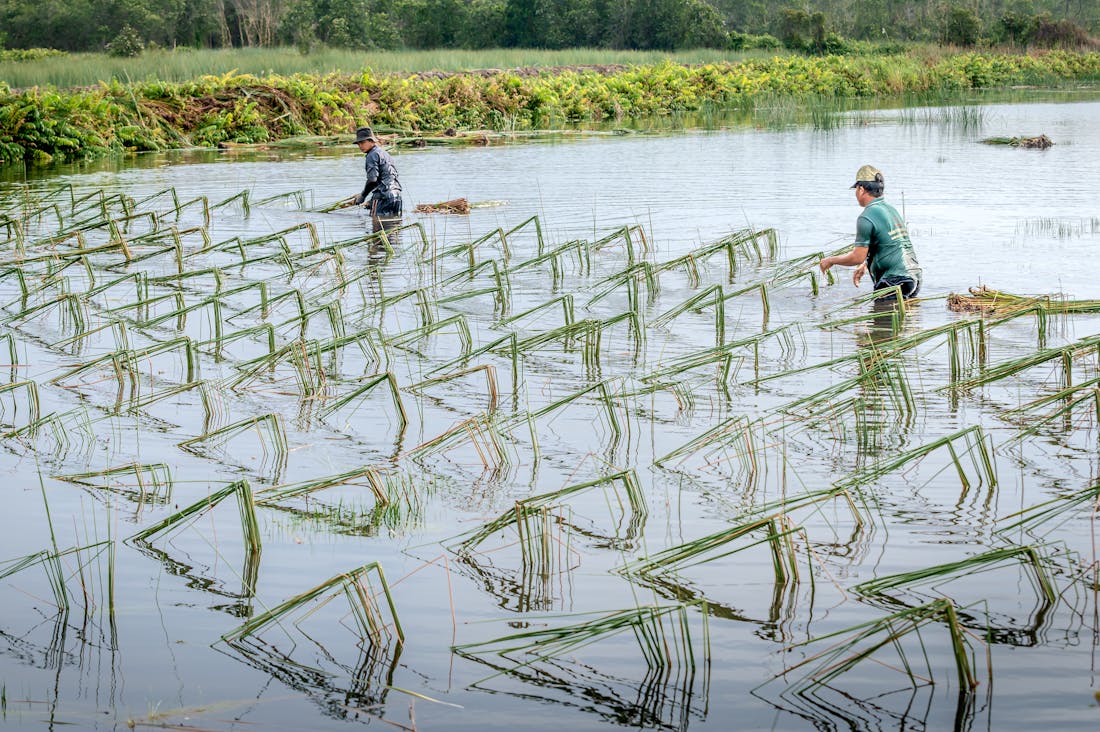 Balancing Work and Life: Strategies for Personal and Professional Growth Image 3