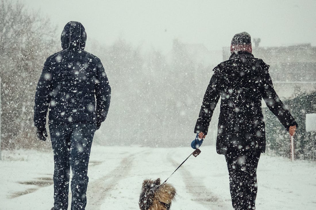 Beneath the Surface: How Lifestyle Affects Mental Wellness Image 2