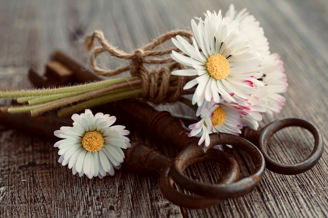 Beneath the Surface: Understanding the Latest Innovations in Sustainable Automotive Technology for Eco-Friendly Driving Image 2