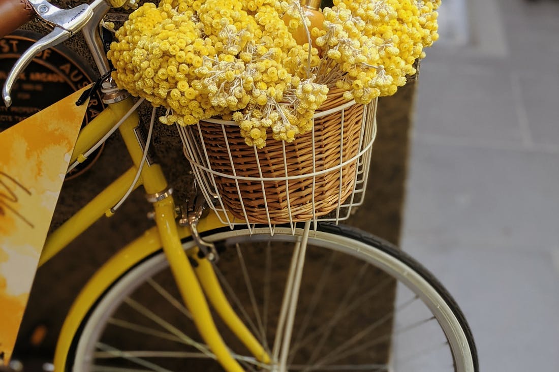 Benefits of Choosing Electric Vehicles for Climate and Economy Image 2