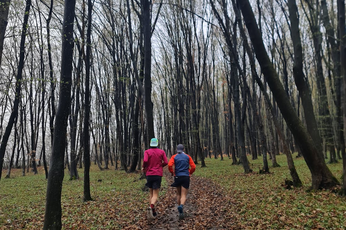 Benefits of Consistent Exercise for Mental Clarity and Emotional Resilience Image 3