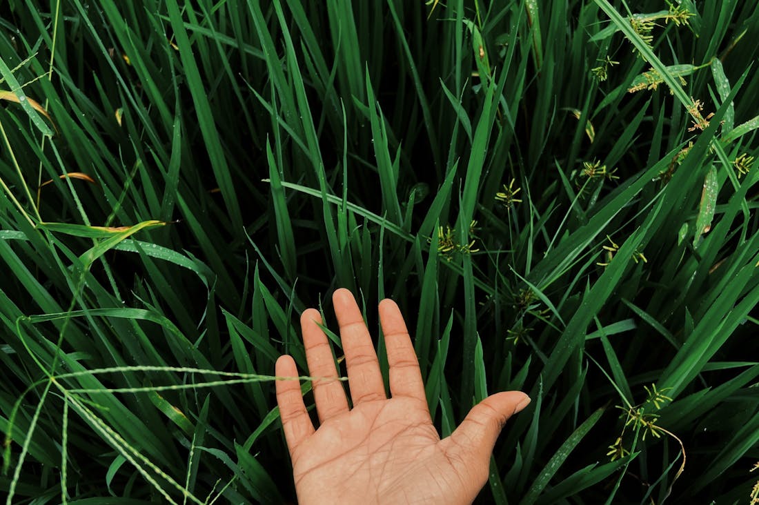 Benefits of Sustainable Travel for Mind and Planet Image 3