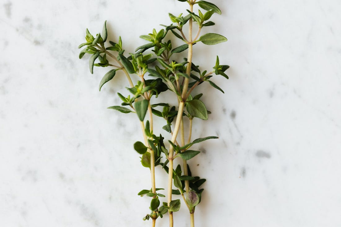 Best Practices for Healthy Living Through Simple Daily Habits Image 3