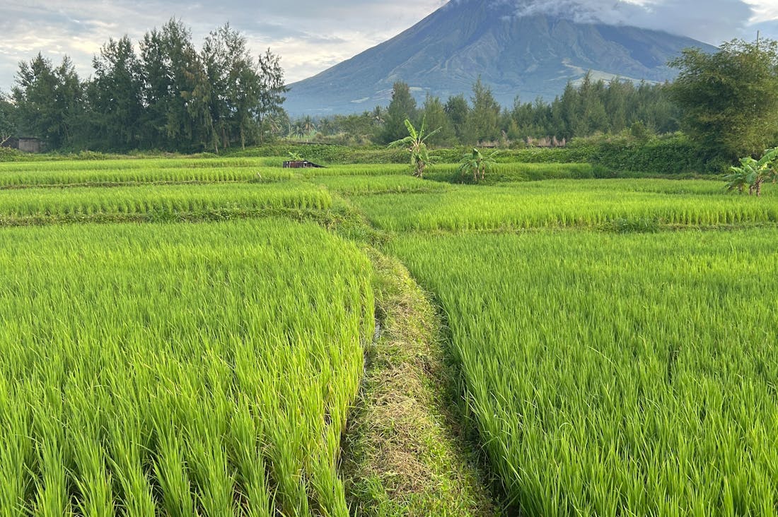 Best Practices for Sustainable Travel in the Modern Age Image 2