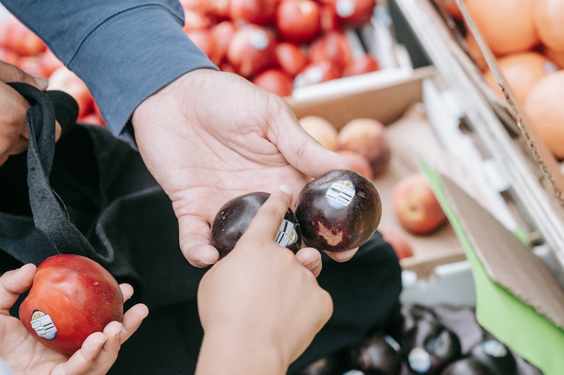 Best Practices for Sustainable Travel: Making Eco-Friendly Choices Image 1