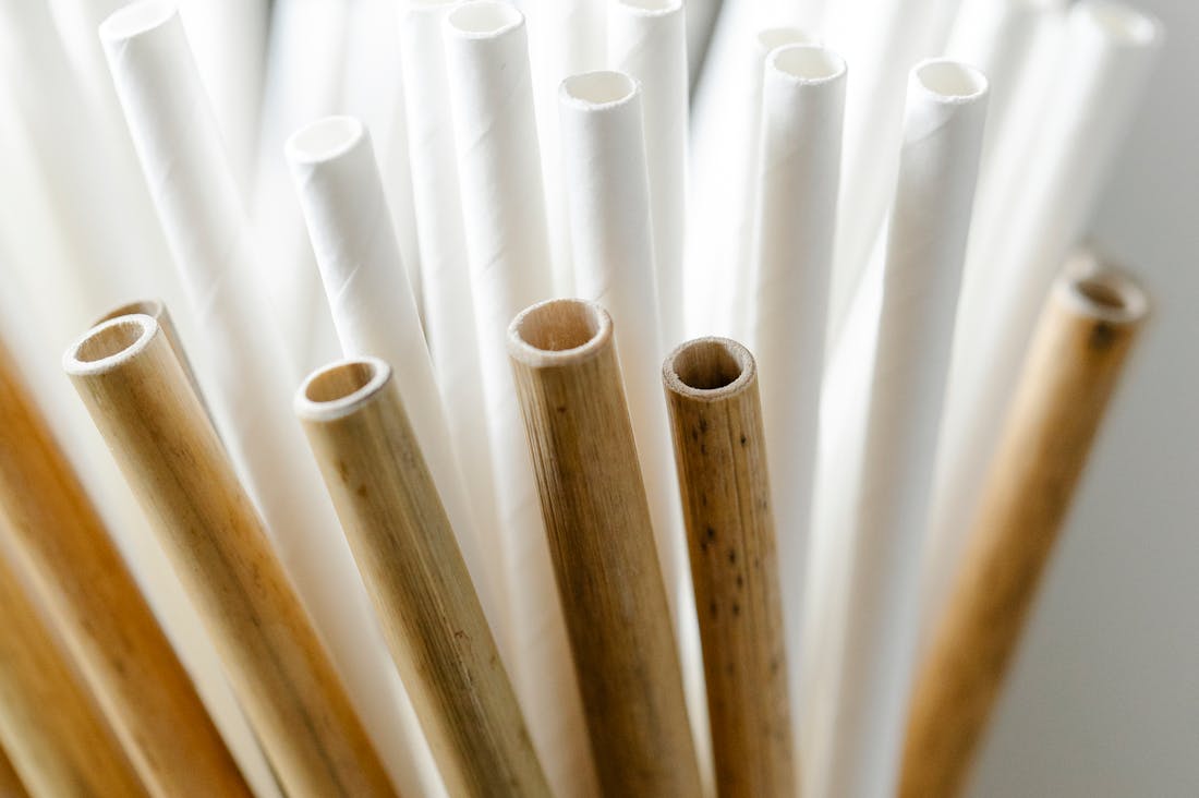 Best Practices for Sustainable Travel Without Compromising Comfort Image 2