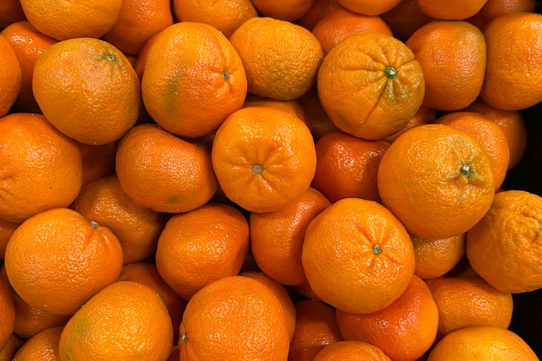 Boosting Immune Health with Everyday Foods: A Comprehensive Guide