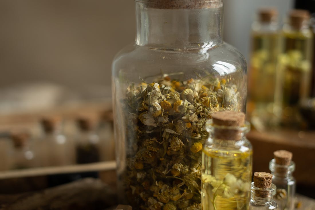 Boosting Immune Health with Natural Remedies and Sustainable Practices Image 2