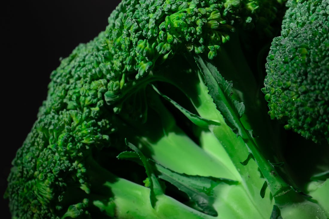 Boosting Immunity: Essential Nutrients for a Healthier Life Image 2