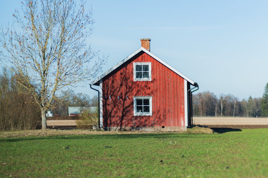 Boosting Mental Health through Daily Habits for a Happier Life Image 2