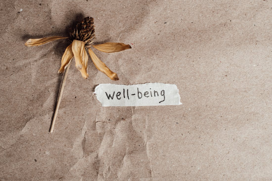 Boosting Mental Health Through Daily Routine Adjustments Image 3