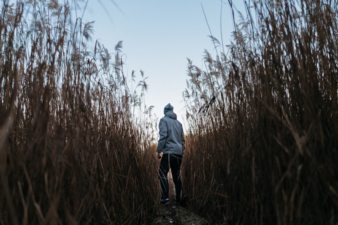 Boosting Well-Being Through Simple Everyday Habits Image 3