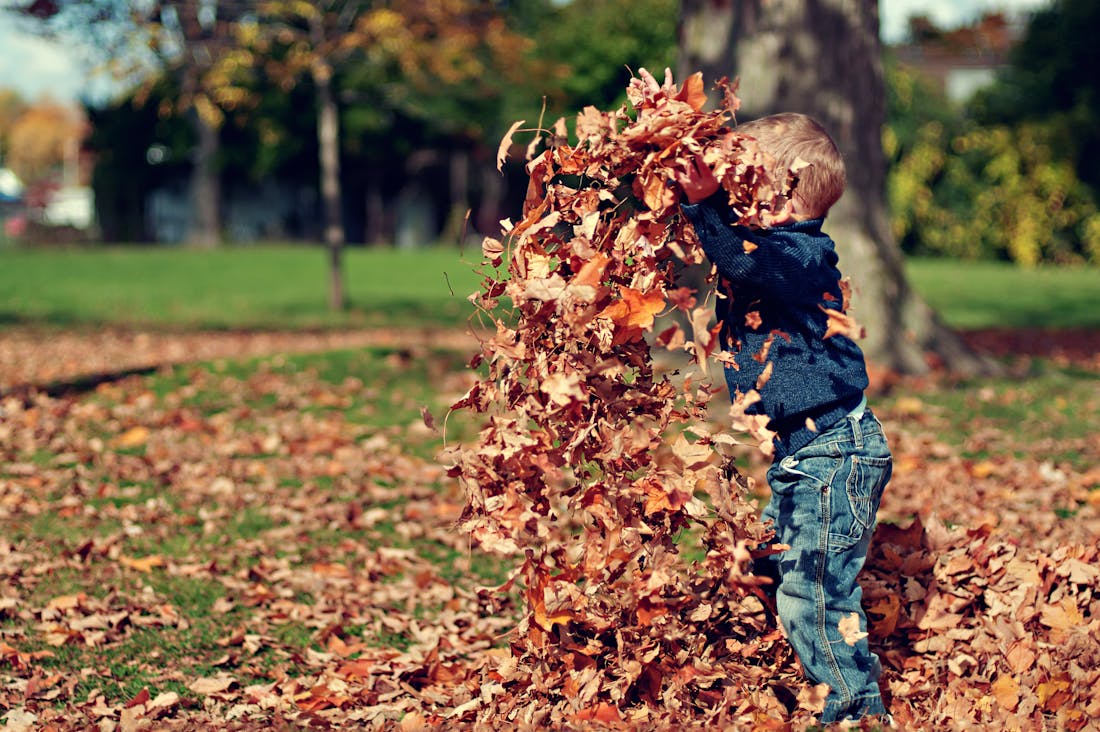 Boosting Wellness: Simple Habits for a Healthier Lifestyle Image 3