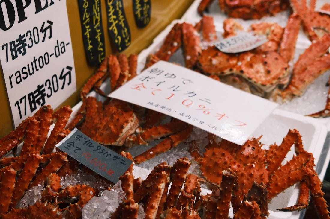 Budget-Friendly Travel Ideas for the Adventurous Spirit Image 3