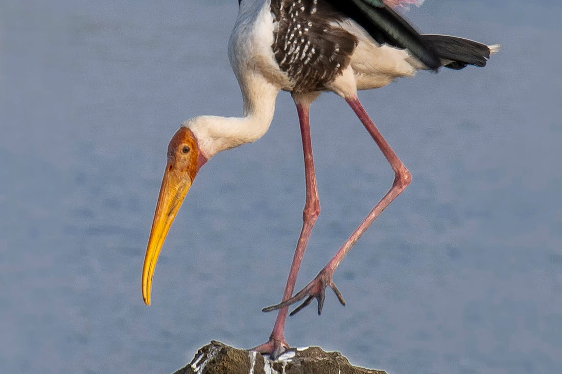 Building a Balanced Life Through Effective Time Management Image 1