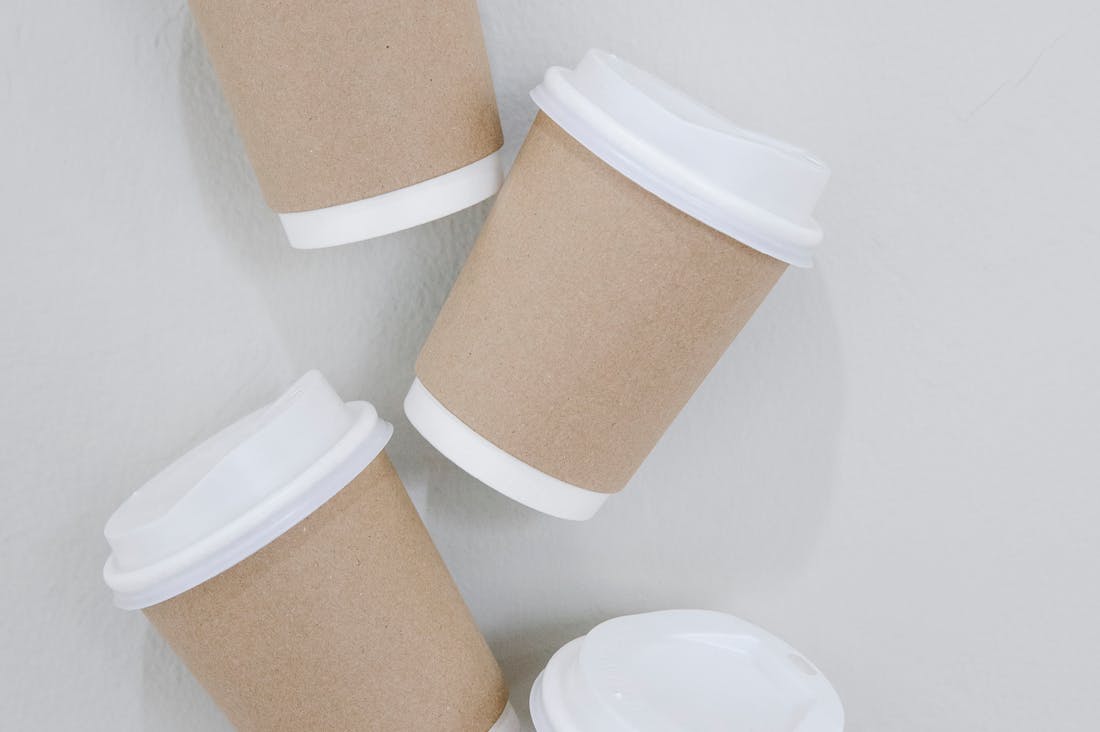 Building a Sustainable Lifestyle: Practical Steps for Eco-Conscious Living Image 2