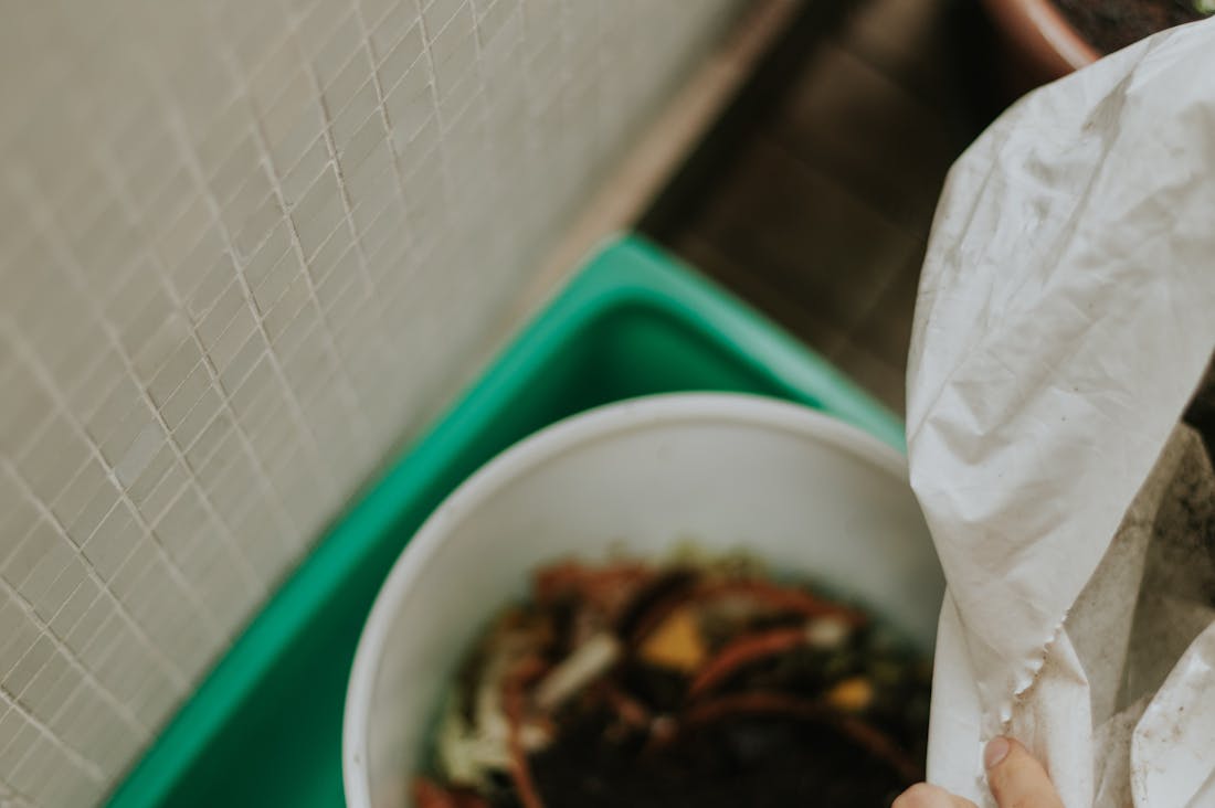 Building a Sustainable Lifestyle: Tips to Go Green at Home Image 3