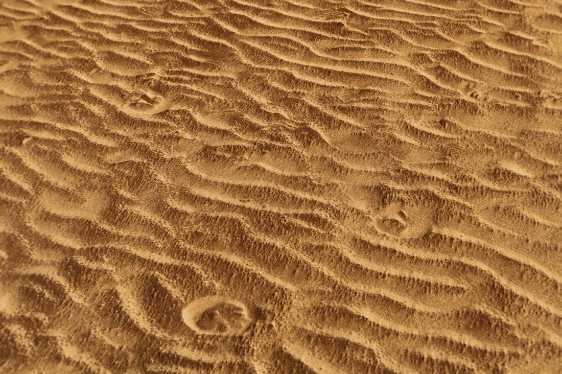 Building Financial Resilience: Essential Tips for Uncertain Times Image 1