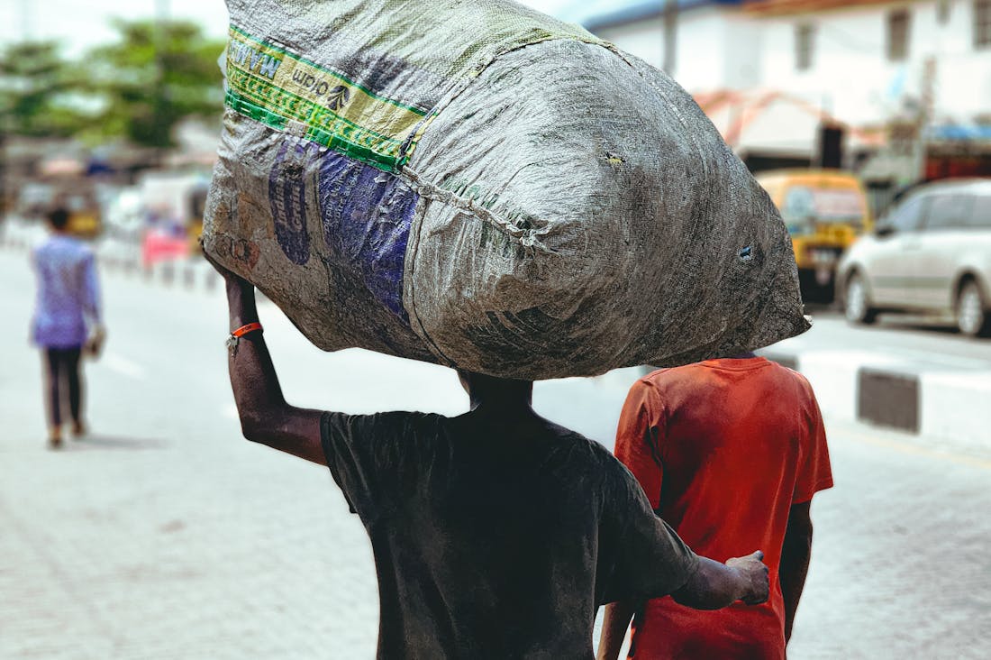 Building Sustainable Financial Freedom through Smart Investment Choices Image 1