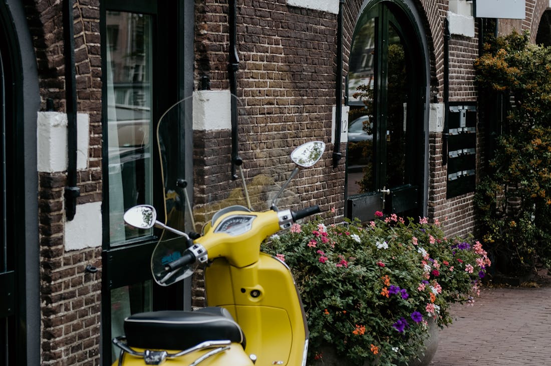 Car Care Essentials: Understanding Maintenance, Safety Features, and Eco-Friendly Options for Your Vehicle Image 3